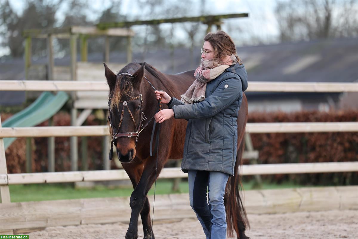 Bild 5: Unterricht in Boden/Handarbeit und Reitstunden