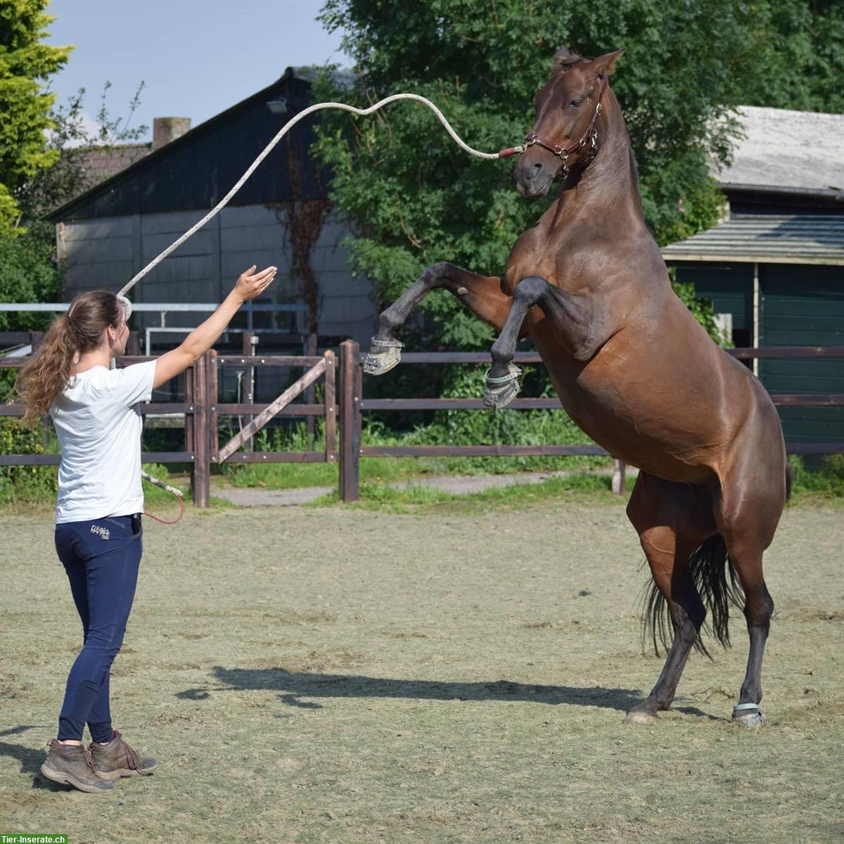 Bild 6: Unterricht in Boden/Handarbeit und Reitstunden