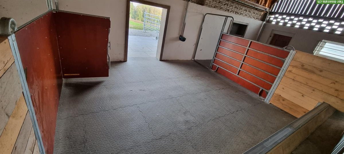 Bild 7: Vermieten Pferdebox mit direktem Weidezugang im Aargau