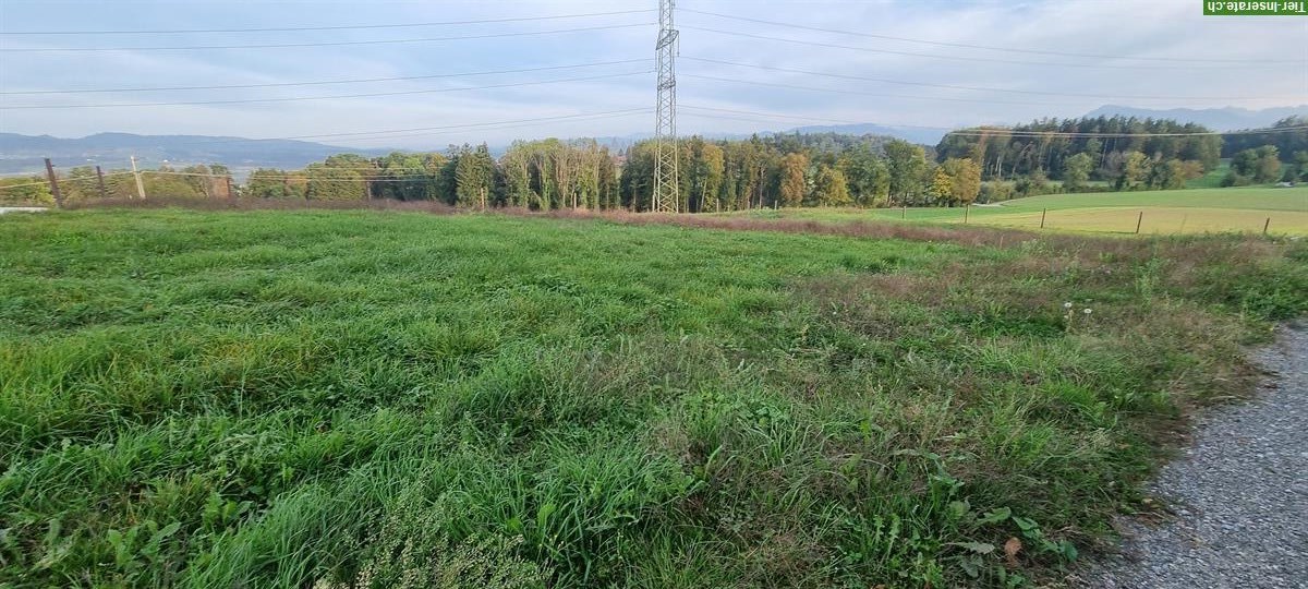 Bild 8: Vermieten Pferdebox mit direktem Weidezugang im Aargau
