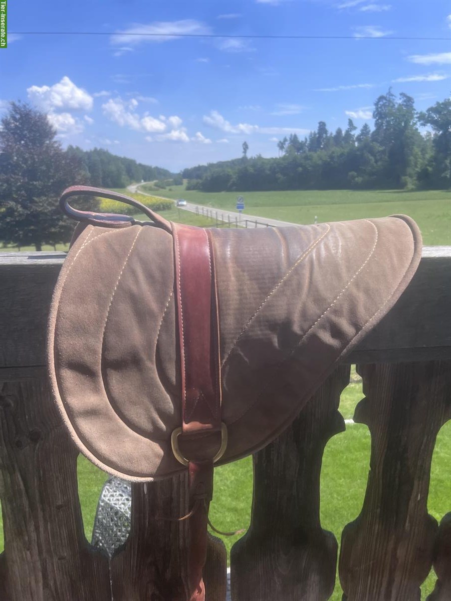 Parelli Bareback Pad zu verkaufen