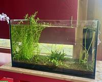 Aquarium inkl. Besatzung zu verkaufen