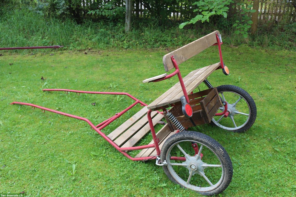 Bild 2: Sulky für Pony oder Esel