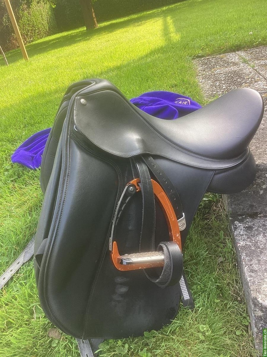 Bates Dressursattel mit rotem Kopfeisen