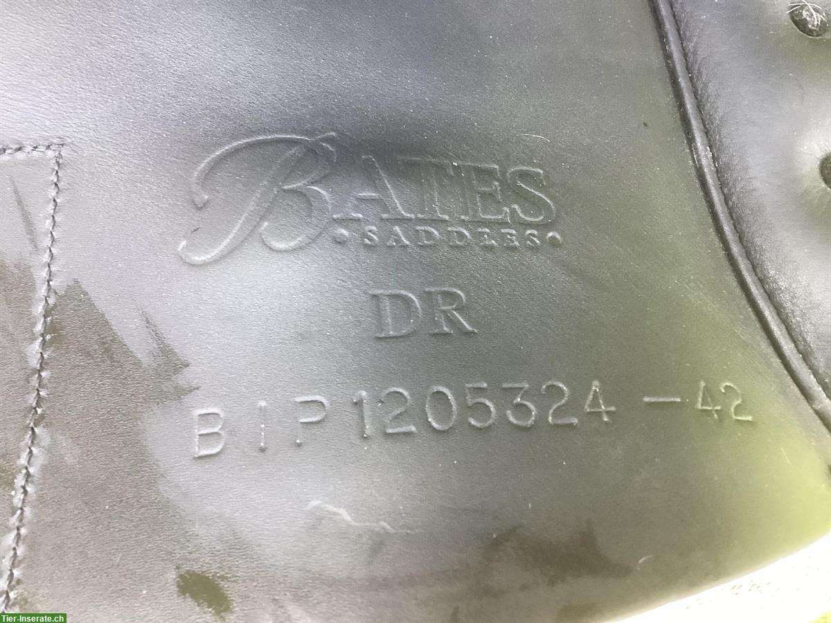 Bild 4: Bates Dressursattel mit rotem Kopfeisen