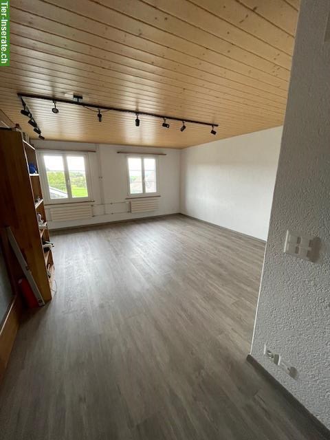 Bild 5: 3-Zimmer Wohnung mit Offenstall für Pony oder Kleinpferd