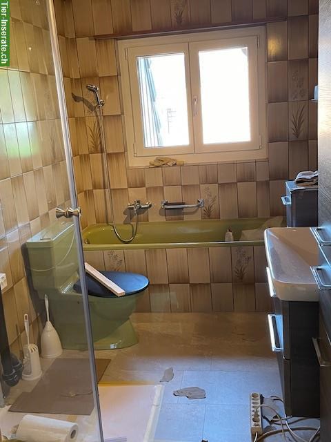 Bild 6: 3-Zimmer Wohnung mit Offenstall für Pony oder Kleinpferd
