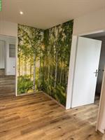 2,5 Zimmer Wohnung zu vermieten mit Offenstallplatz