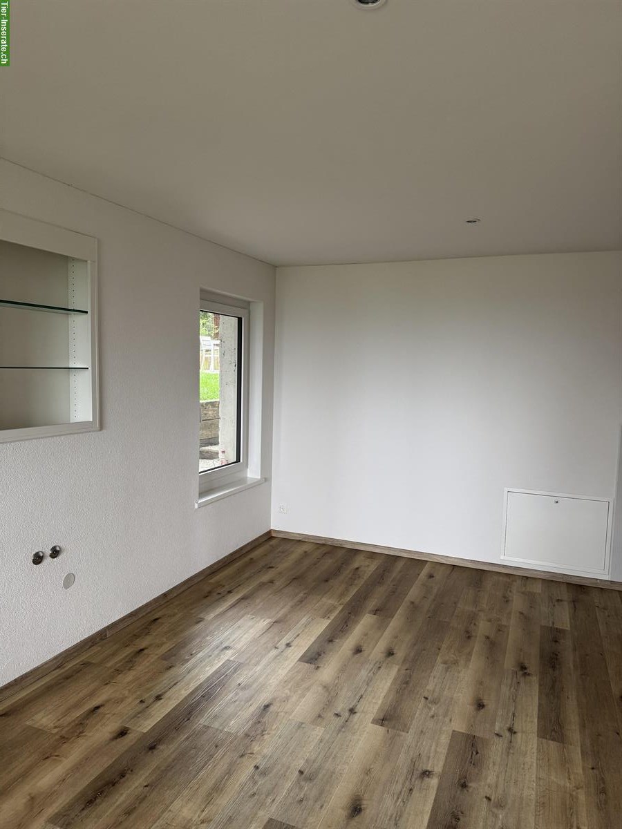 Bild 2: 2,5 Zimmer Wohnung zu vermieten mit Offenstallplatz