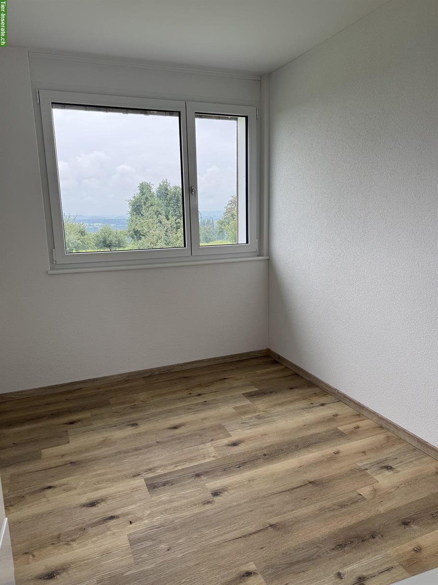 Bild 4: 2,5 Zimmer Wohnung zu vermieten mit Offenstallplatz