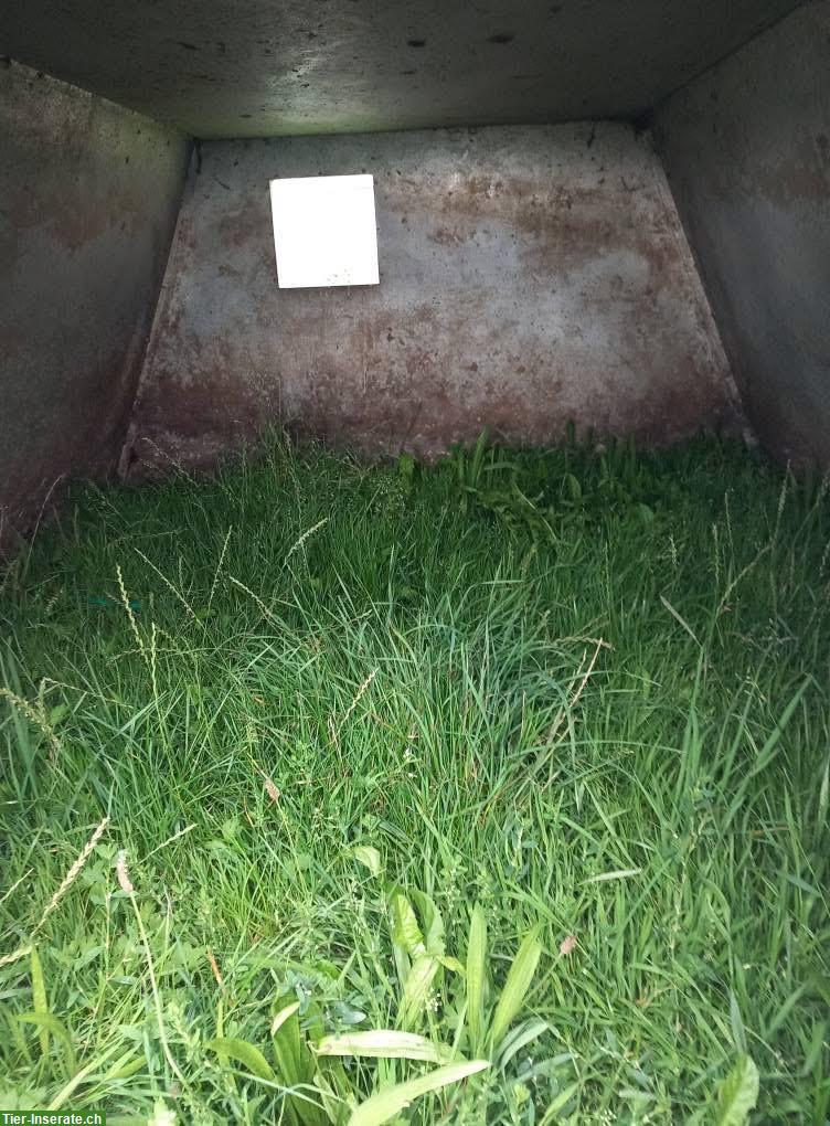 Bild 5: Schweinehütten isoliert/unisoliert zu verkaufen
