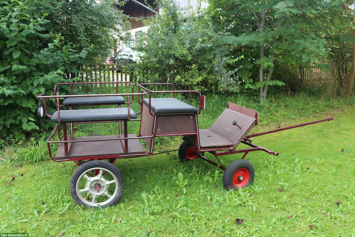 Zweiachswagen / Kutsche zweispännig zu verkaufen