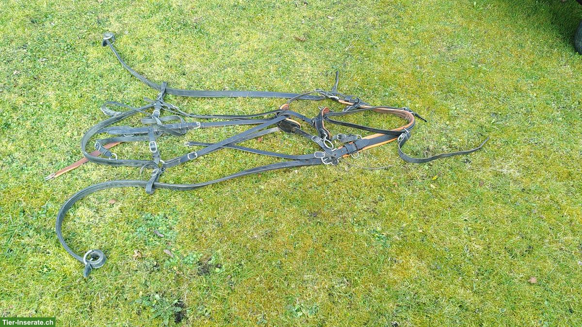 Bild 6: Zweiachswagen / Kutsche zweispännig zu verkaufen