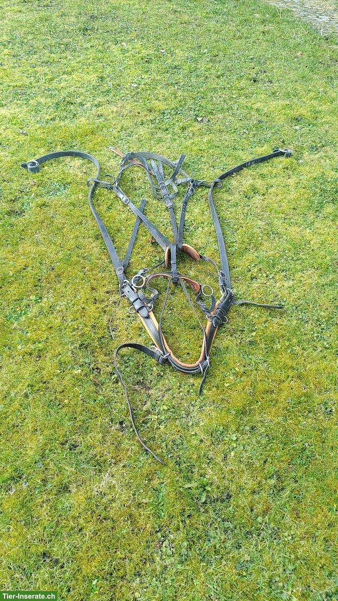 Bild 7: Zweiachswagen / Kutsche zweispännig zu verkaufen