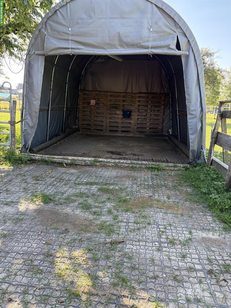 Bild 4: Bieten Selbstversorgerstall im Berner Seeland