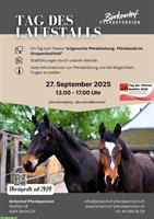 Tag des Laufstalls zum Thema «artgerechte Pferdehaltung»