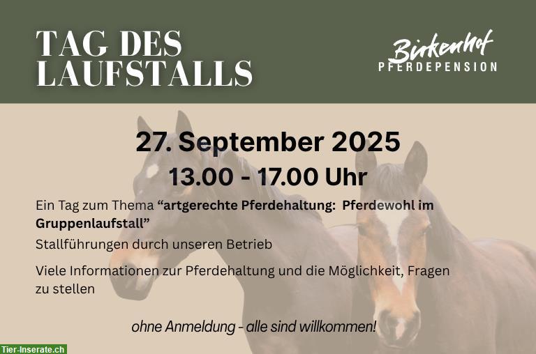 Bild 2: Tag des Laufstalls zum Thema «artgerechte Pferdehaltung»