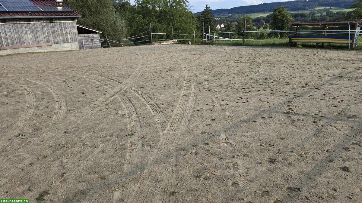 Bild 4: Offenstall an Selbstversorger zu vermieten in 8566 Neuwilen TG