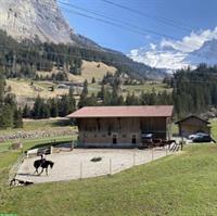 🐴 Pferdeboxen zu vermieten in 3717 Blausee-Mitholz