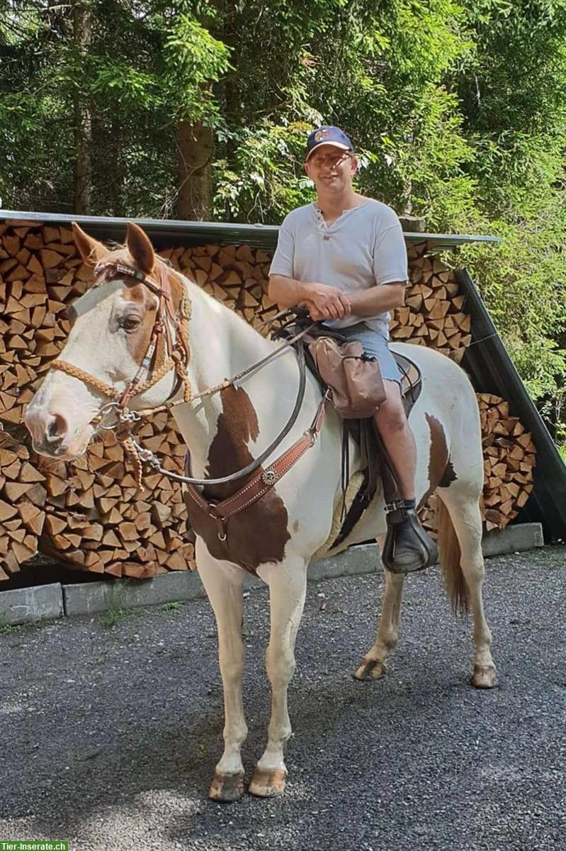 Bild 4: Reitbeteiligung für 2 Pferde 🐴 in Gommiswald SG