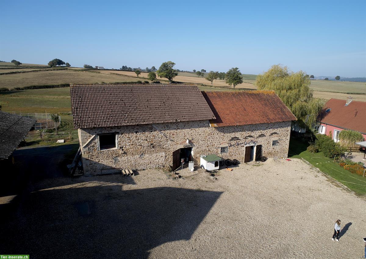 Bild 4: Verkauf: Landwirtschafts-Hof in Saône et Loire im Burgund F