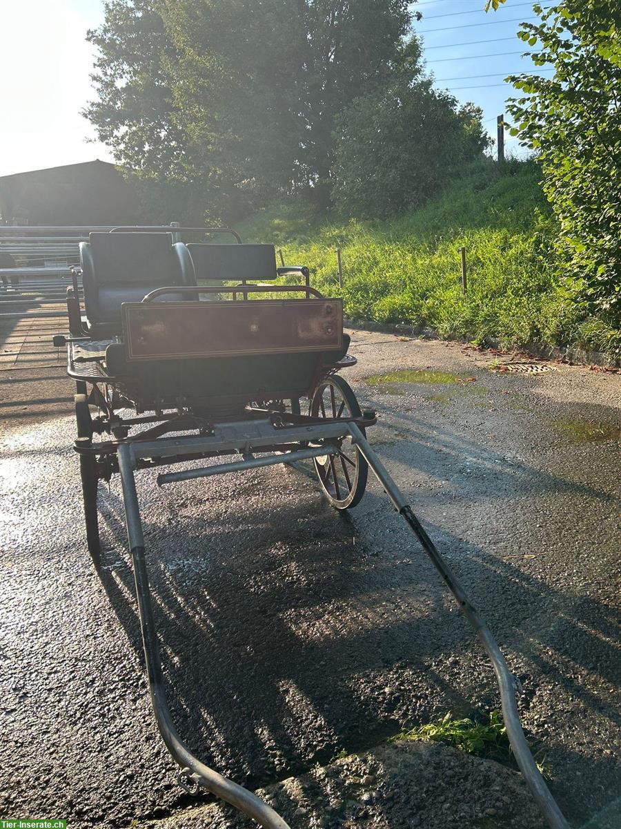 Bild 2: Pony Kutsche und Zubehör zu verkaufen