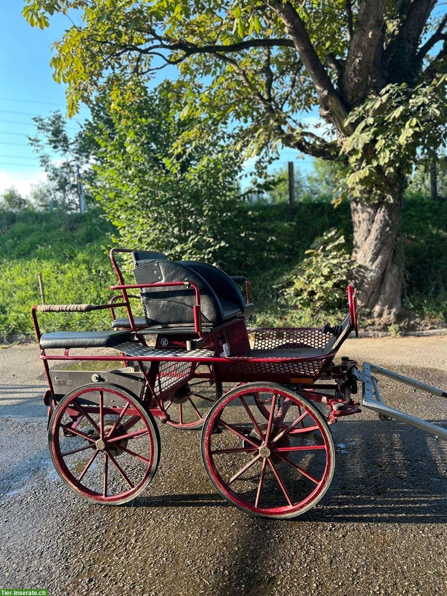 Bild 4: Pony Kutsche und Zubehör zu verkaufen