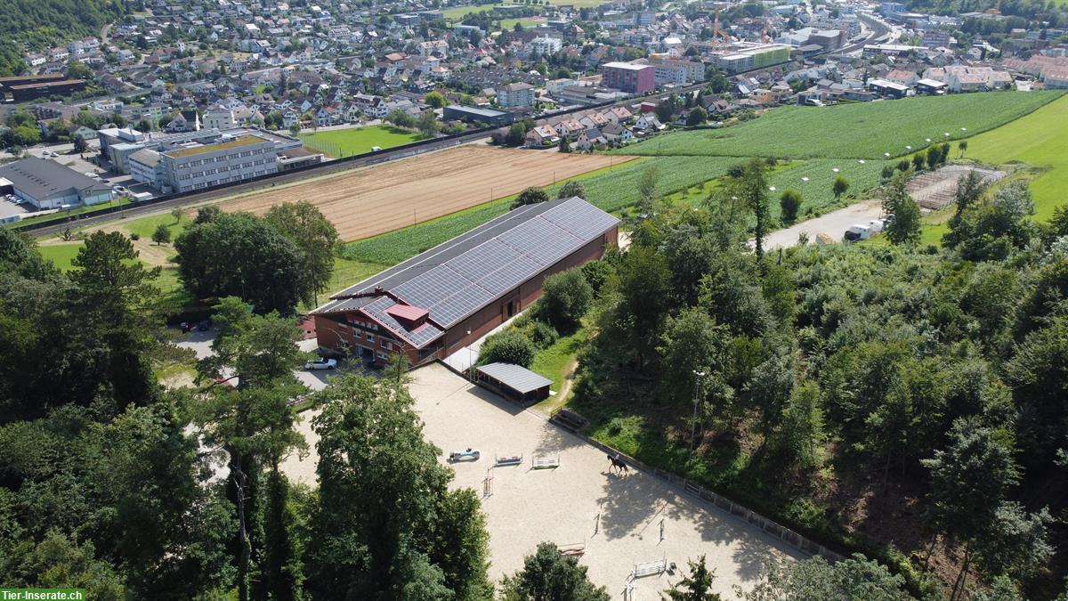 Bild 3: Freie Innen- und Auslaufboxen in Lausen BL