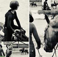 Suche Reitbeteiligung im Zürcher Oberland