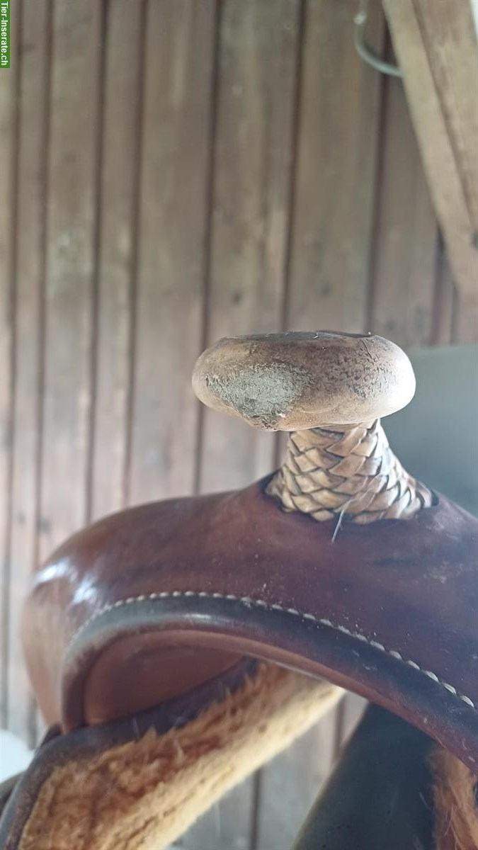 Bild 3: Westernsattel von West Wood Saddlery & Filzpad