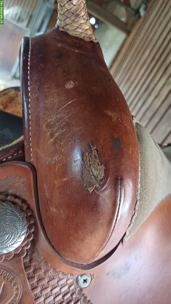 Bild 4: Westernsattel von West Wood Saddlery & Filzpad
