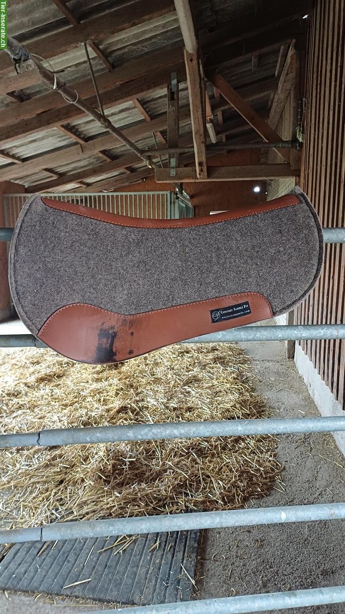 Bild 5: Westernsattel von West Wood Saddlery & Filzpad