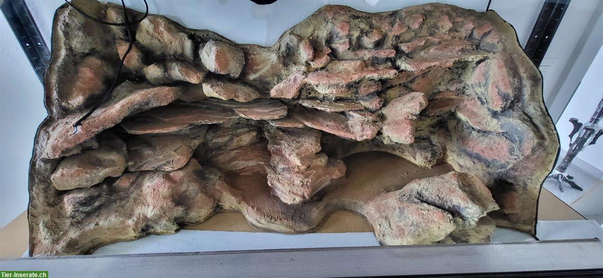 Bild 4: Exklusives Wüstenterrarium 120x60x60cm zu verkaufen