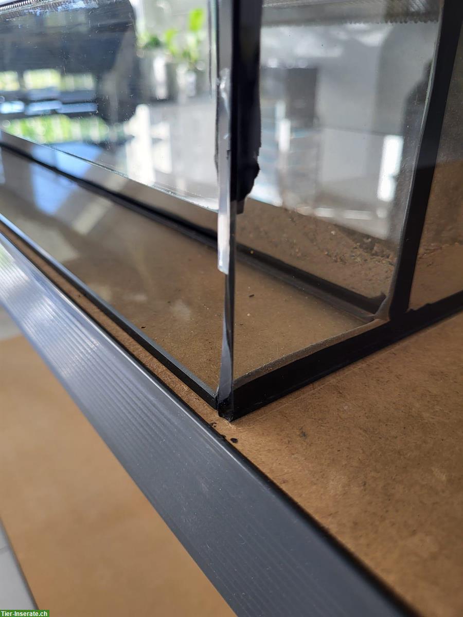 Bild 5: Exklusives Wüstenterrarium 120x60x60cm zu verkaufen