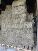 1. Schnitt Pferdeheu, Kleinballen zu verkaufen