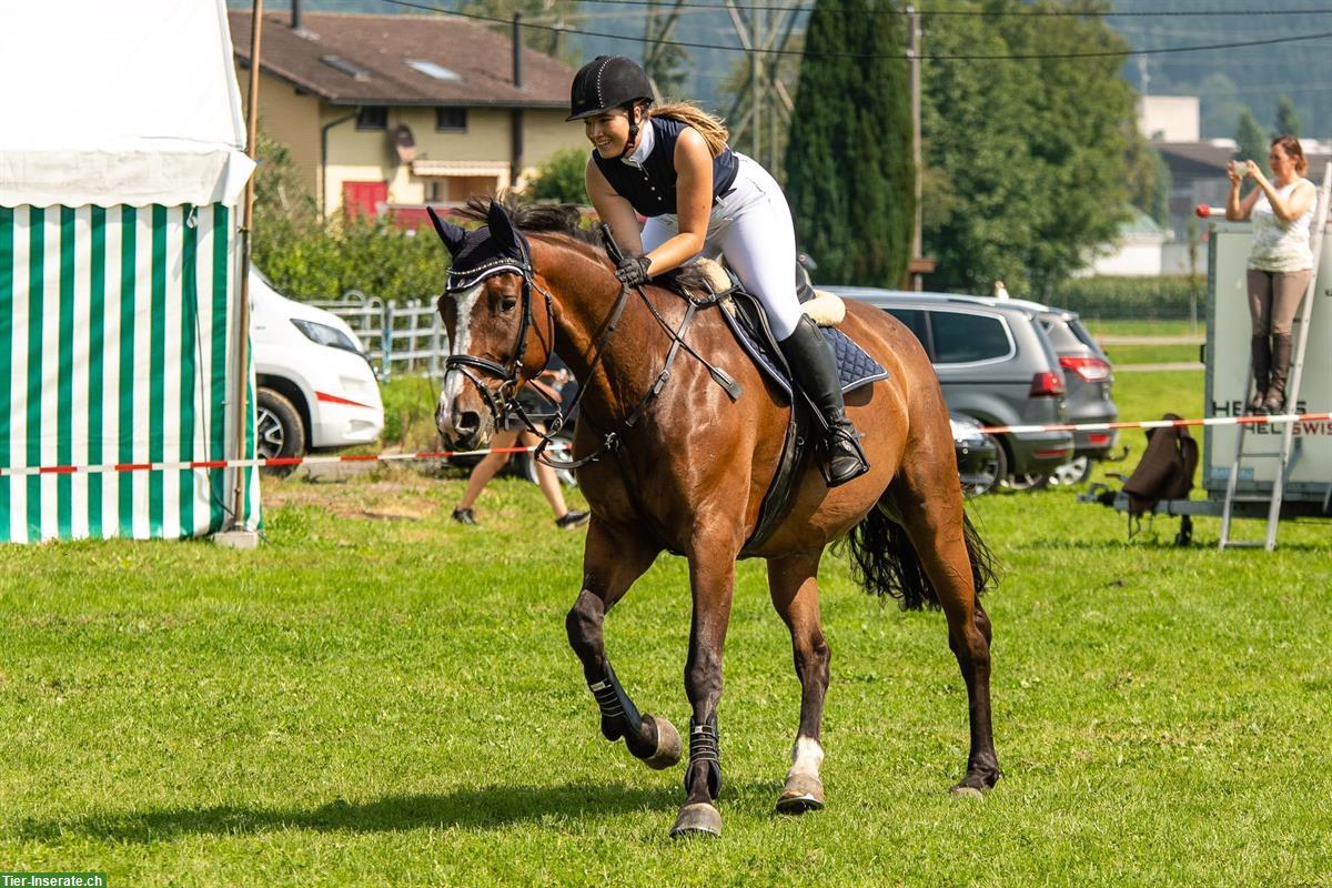 Bild 2: Biete Reitbeteiligung nähe Gettnau, Willisau LU