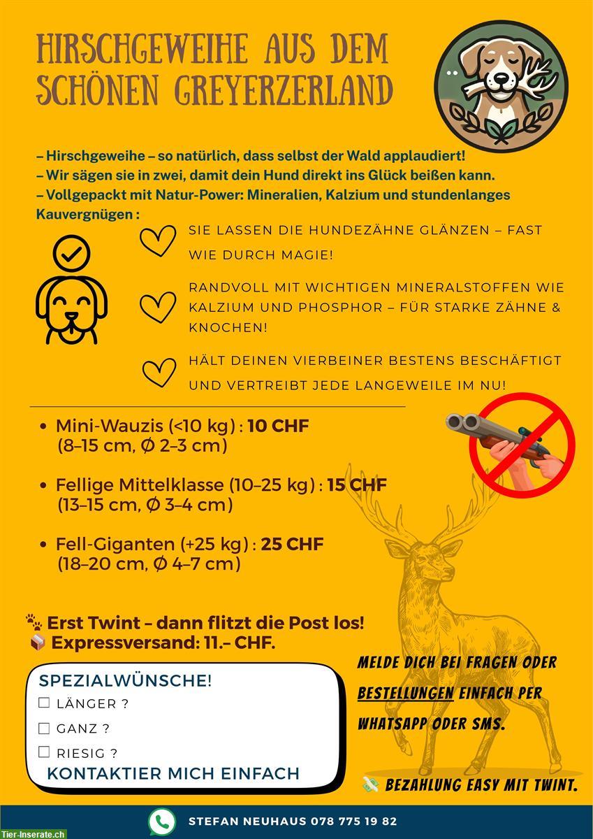 🦌 Halbierte Hirschgeweihe als Kau-Snack - aus der Region Greyerz