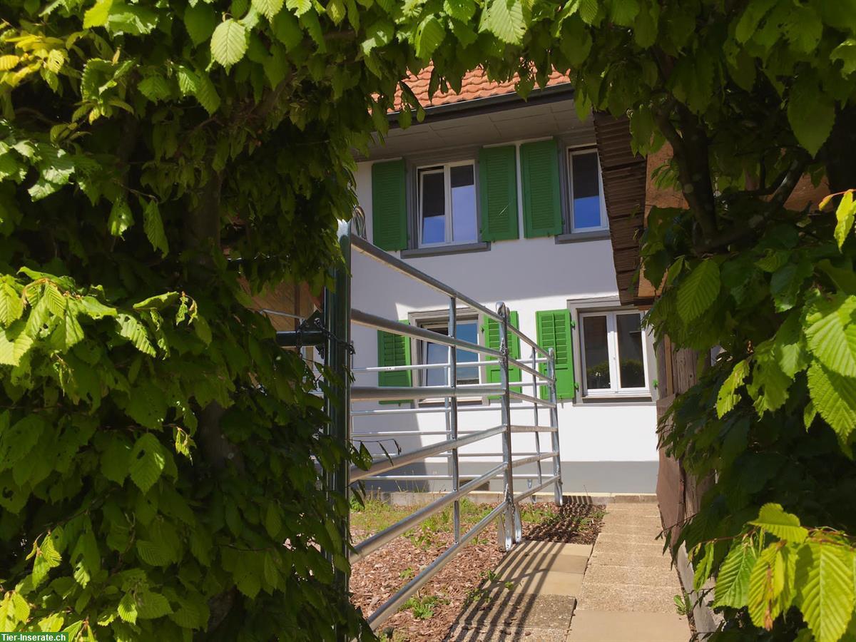 Haus für Familie mit Kindern und 2 Kleinpferden in Lostorf SO