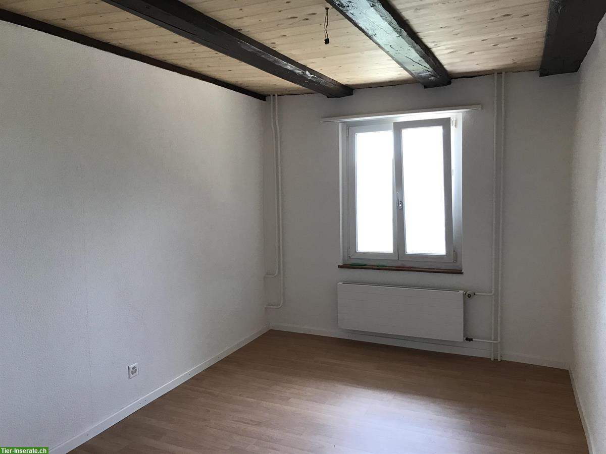 Bild 10: Haus für Familie mit Kindern und 2 Kleinpferden in Lostorf SO