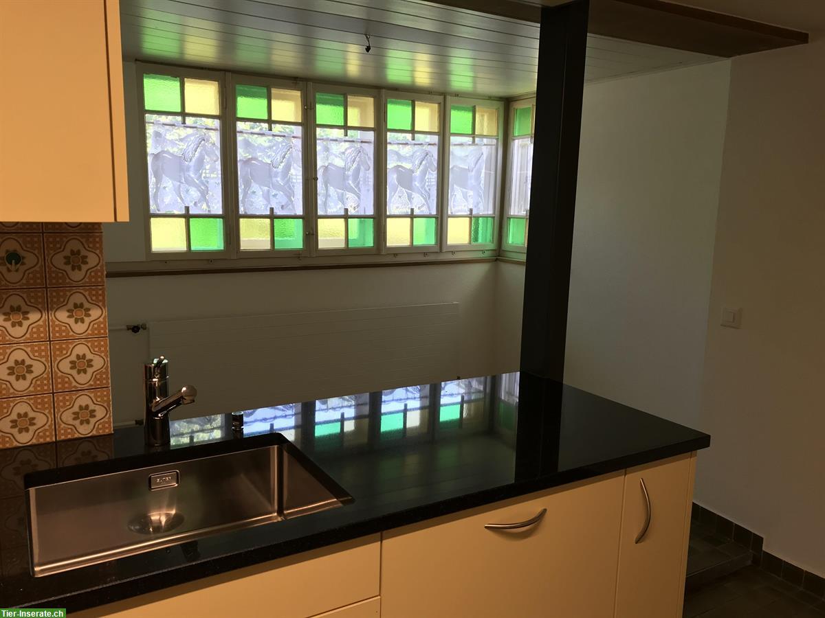 Bild 2: Haus für Familie mit Kindern und 2 Kleinpferden in Lostorf SO