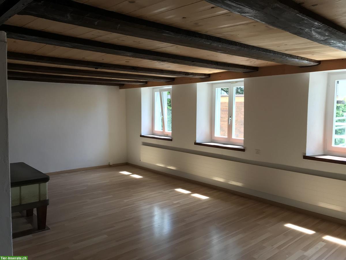Bild 3: Haus für Familie mit Kindern und 2 Kleinpferden in Lostorf SO