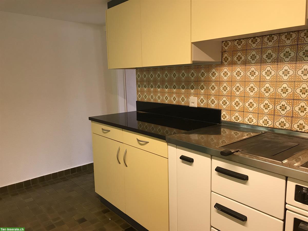 Bild 4: Haus für Familie mit Kindern und 2 Kleinpferden in Lostorf SO