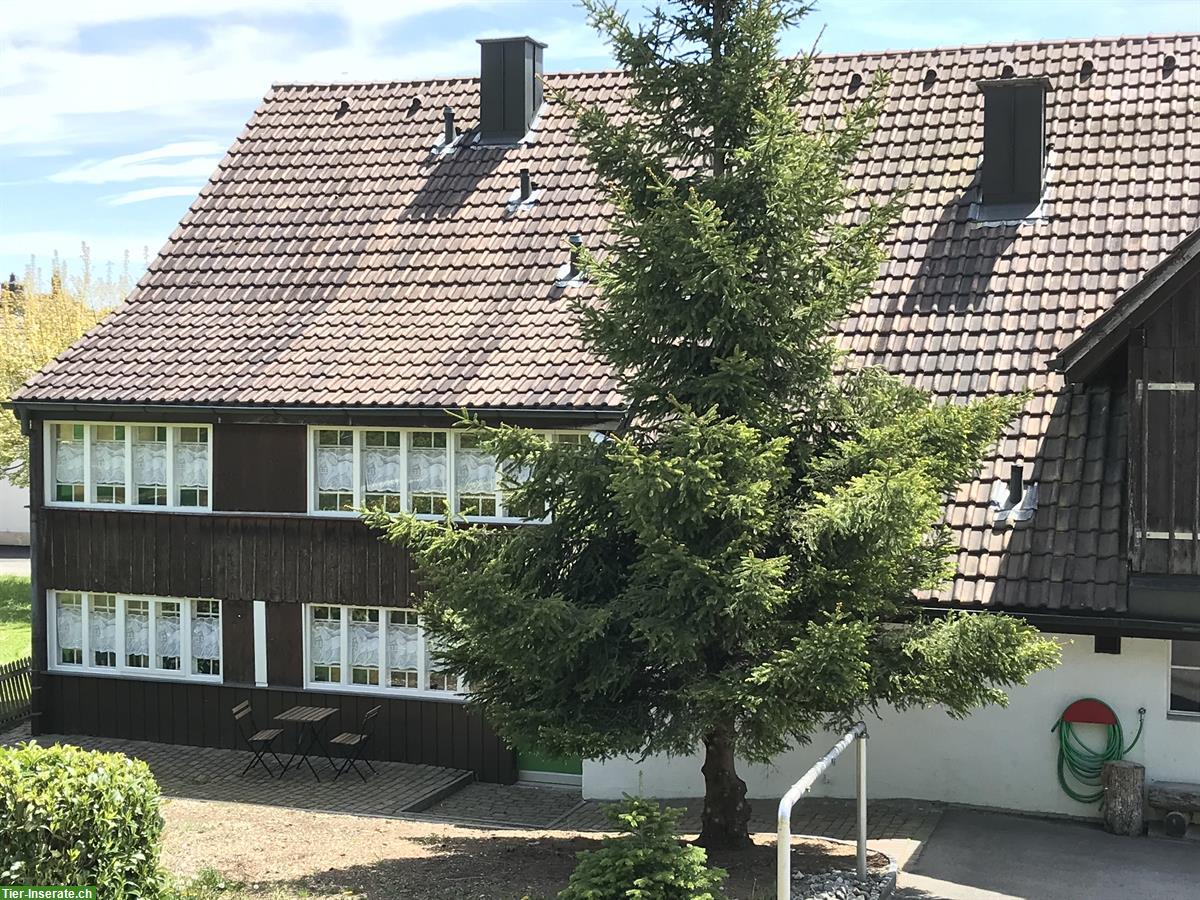 Bild 7: Haus für Familie mit Kindern und 2 Kleinpferden in Lostorf SO