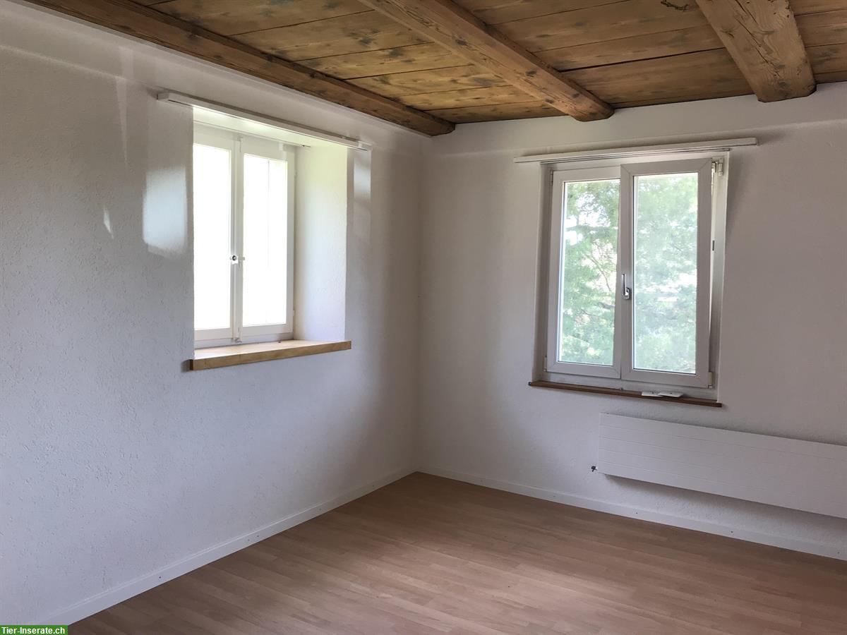 Bild 8: Haus für Familie mit Kindern und 2 Kleinpferden in Lostorf SO