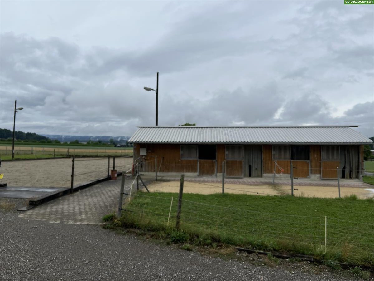 Offenstall oder Auslaufboxen für 2-3 Pferde zu vermieten