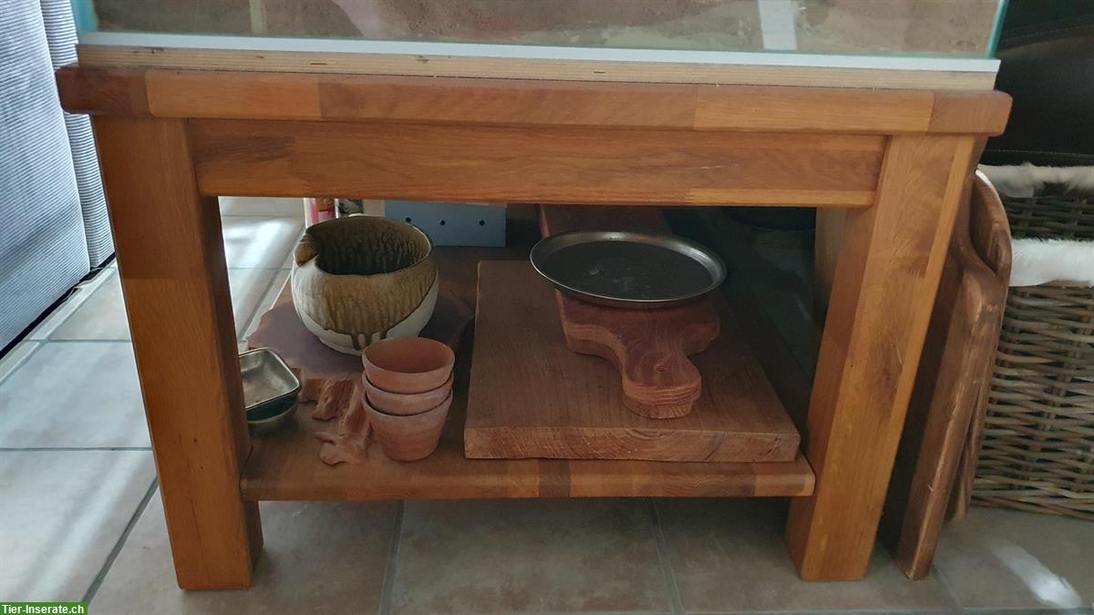 Bild 4: Wüsten Terrarium L 1,80m x H 92cm x T 80cm