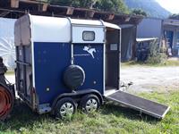 Ifor Williams HB 505 R Pferdeanhänger mit Vorderausstieg