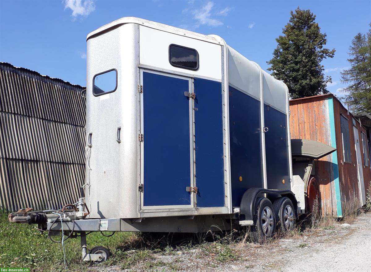 Bild 2: Ifor Williams HB 505 R Pferdeanhänger mit Vorderausstieg