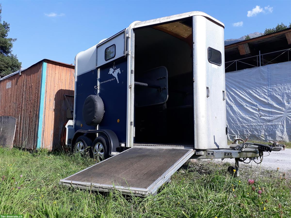 Bild 3: Ifor Williams HB 505 R Pferdeanhänger mit Vorderausstieg