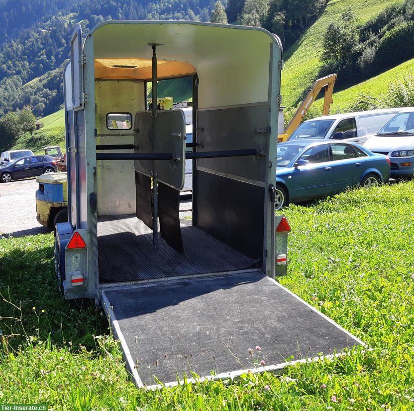 Bild 4: Ifor Williams HB 505 R Pferdeanhänger mit Vorderausstieg